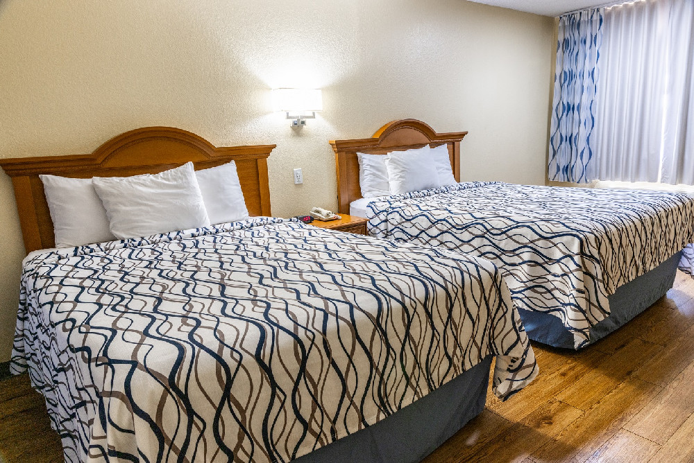 2 Queen Non-Smoking Handicap Studio Suite